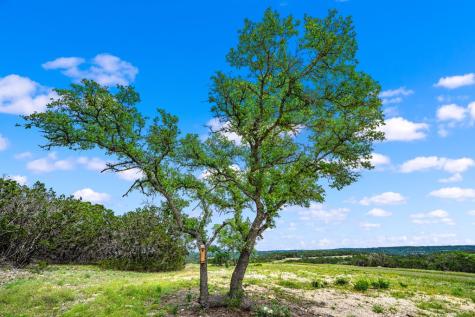 195&200 Countless Views Drive Kerrville TX 78028