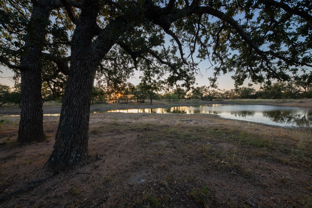 Mason TX 76842