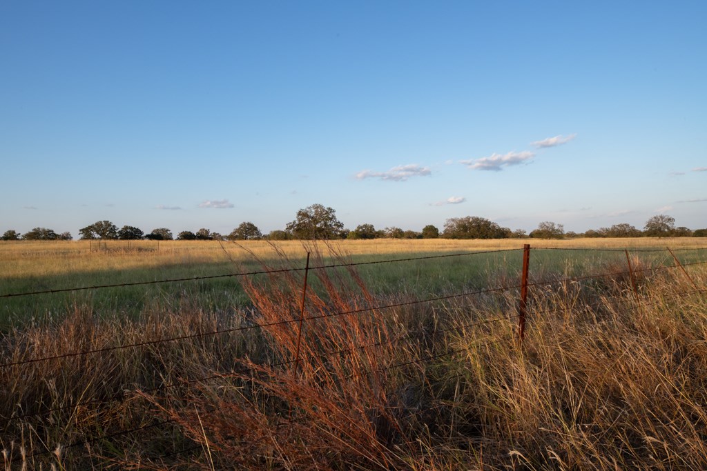 Mason TX 76842