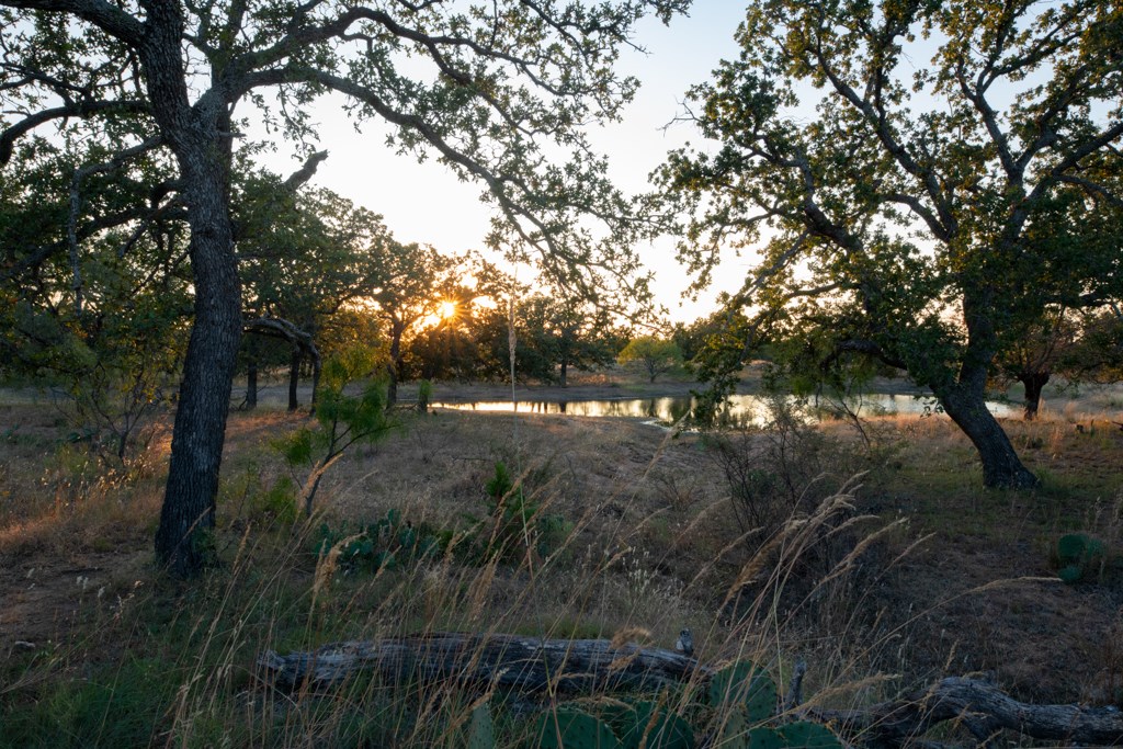 Mason TX 76842