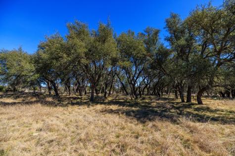 2020 Wendel Road Harper TX 78631