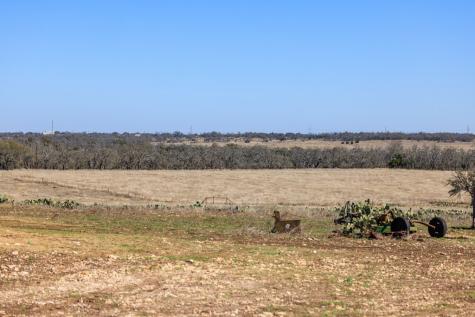 2020 Wendel Road Harper TX 78631