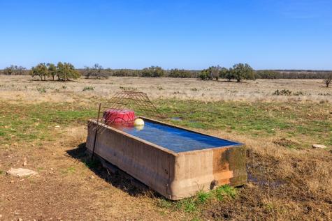 2020 Wendel Road Harper TX 78631