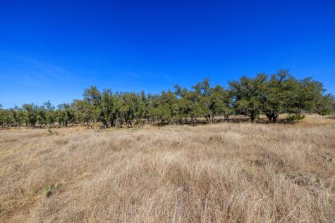 2020 Wendel Road Harper TX 78631