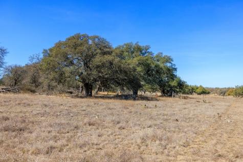 2020 Wendel Road Harper TX 78631