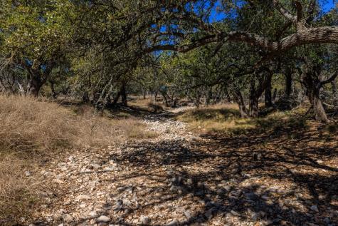 2020 Wendel Road Harper TX 78631
