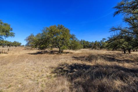 2020 Wendel Road Harper TX 78631