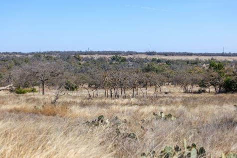2020 Wendel Road Harper TX 78631
