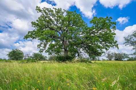 8 Cypress Creek Road Comfort TX 78013