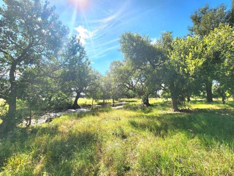 290 E County Road 409 Cherokee TX 76832