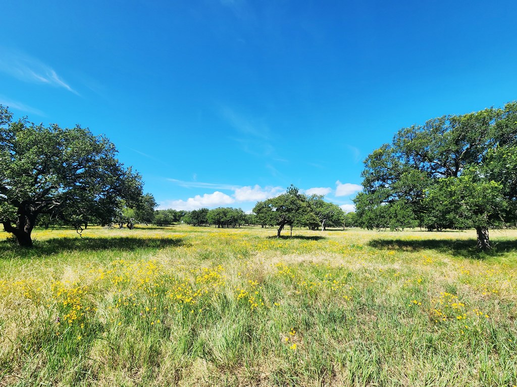 290 E County Road 409 Cherokee TX 76832