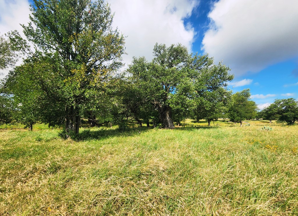 290 E County Road 409 Cherokee TX 76832