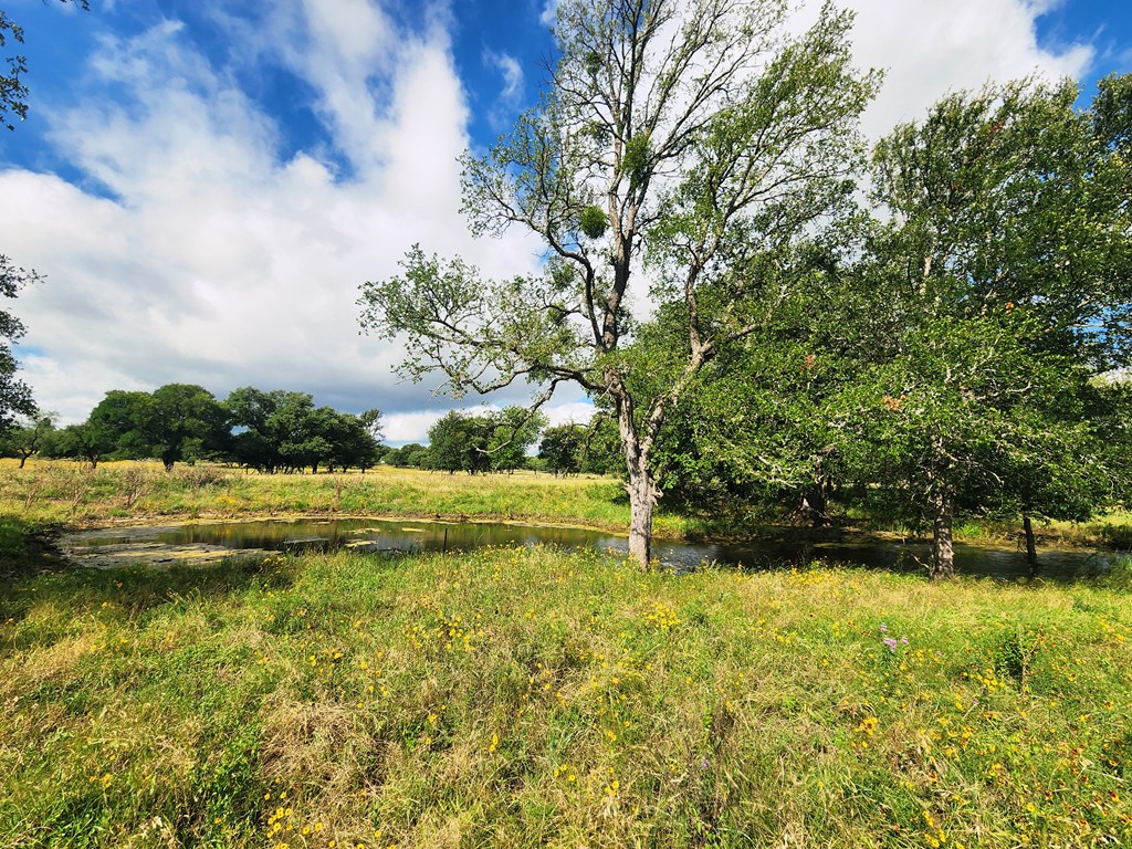 290 E County Road 409 Cherokee TX 76832
