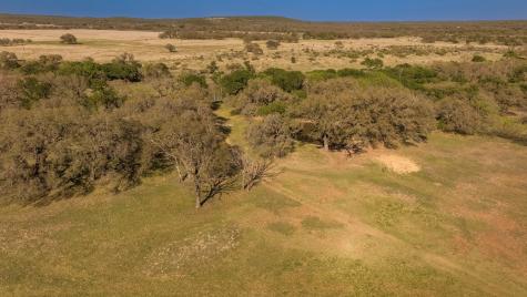 1474 County Road 212 Voca TX 76887