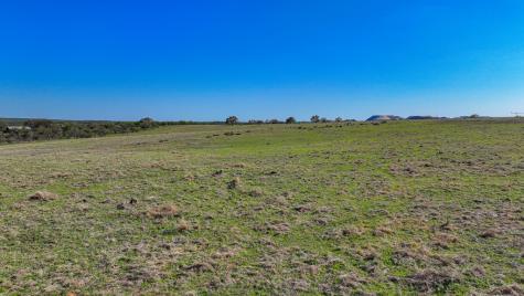1474 County Road 212 Voca TX 76887