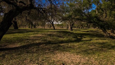 1474 County Road 212 Voca TX 76887