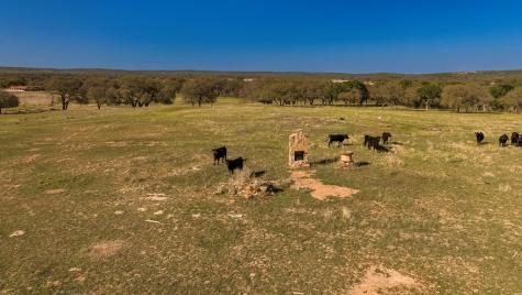 1474 County Road 212 Voca TX 76887