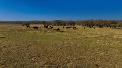1474 County Road 212 Voca TX 76887