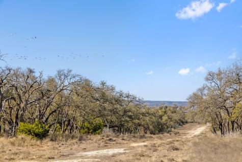9069 Ranch Road 1323 Fredericksburg TX 78624