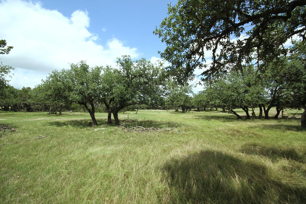 51 Deadend Road Mountain Home TX 78058