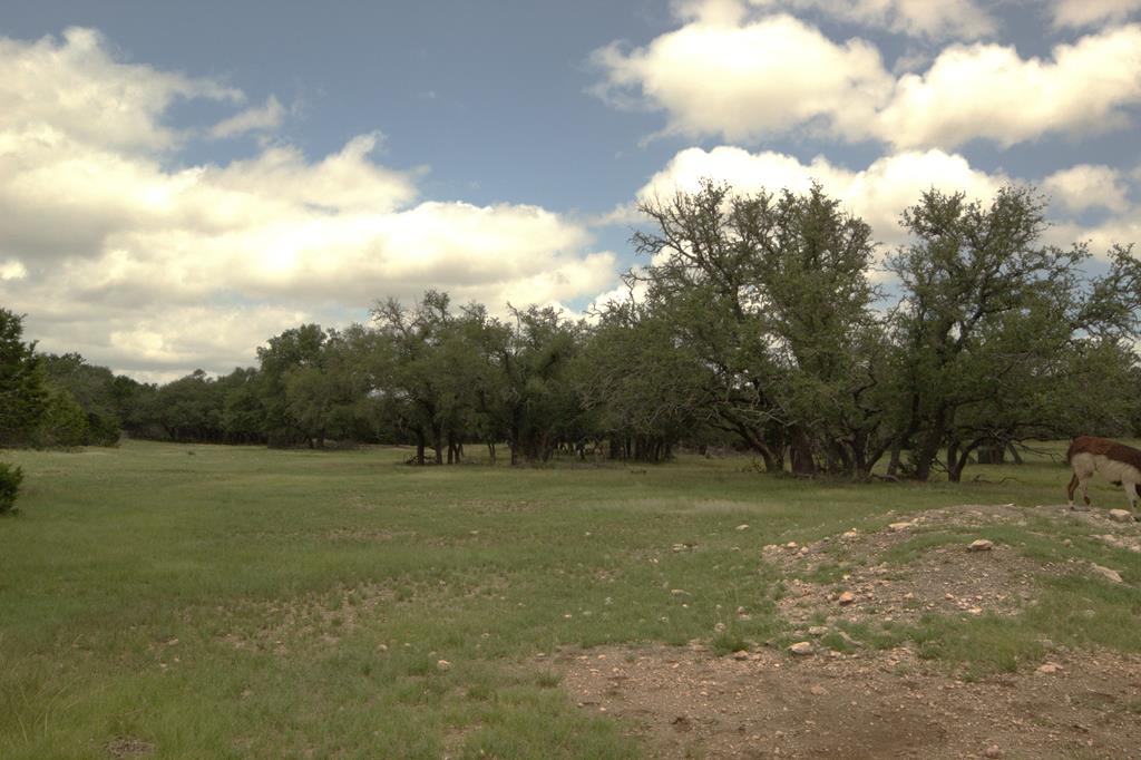 51 Deadend Road Mountain Home TX 78058