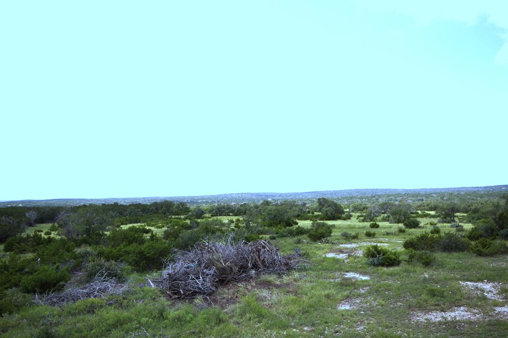 51 Deadend Road Mountain Home TX 78058