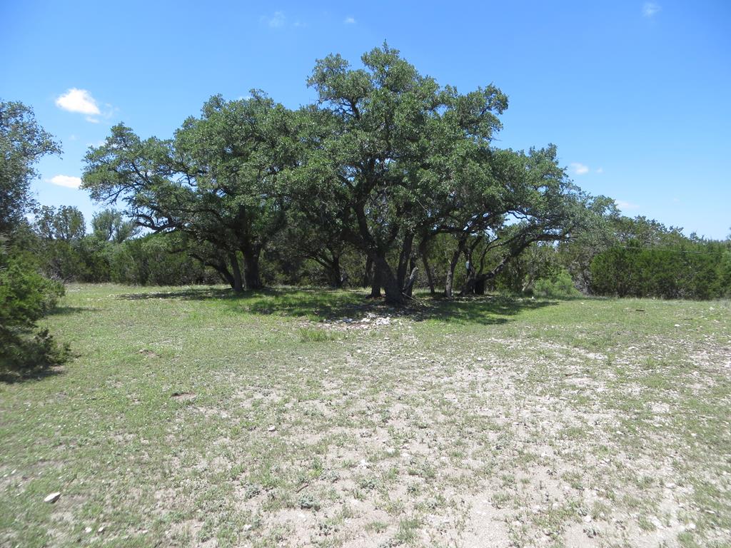 24 N Kc 24 Junction TX 76849