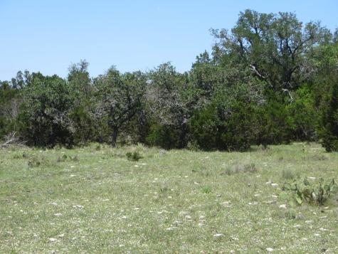 24 N Kc 24 Junction TX 76849