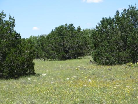 24 N Kc 24 Junction TX 76849