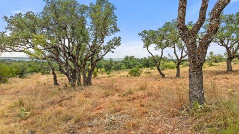3503 Althaus-davis Road Fredericksburg TX 78624