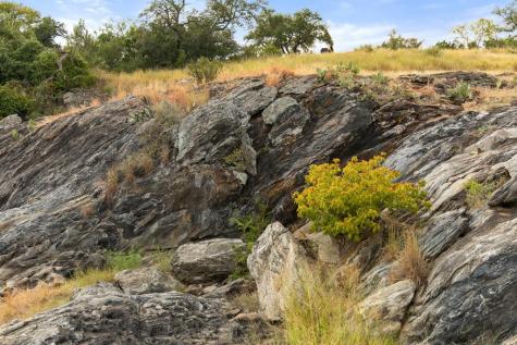 3503 Althaus-davis Road Fredericksburg TX 78624