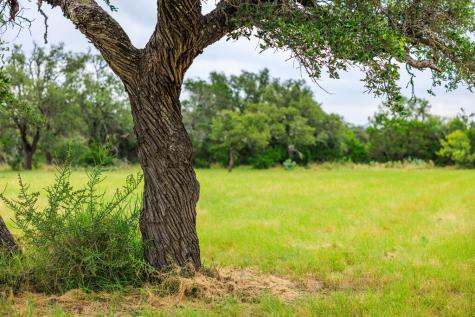 4420 Ranch Road 648 Doss TX 78618