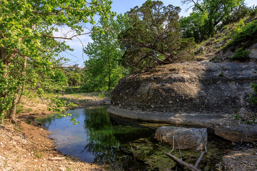 1820 Pressler-henke Road Fredericksburg TX 78624
