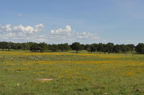 18043 Fm 479 Harper TX 78631