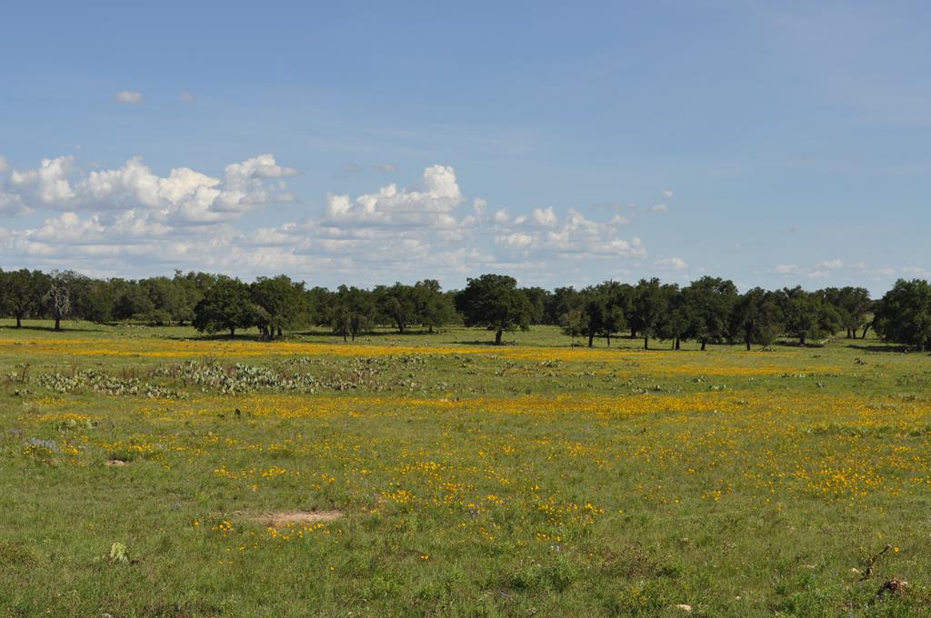 18043 Fm 479 Harper TX 78631