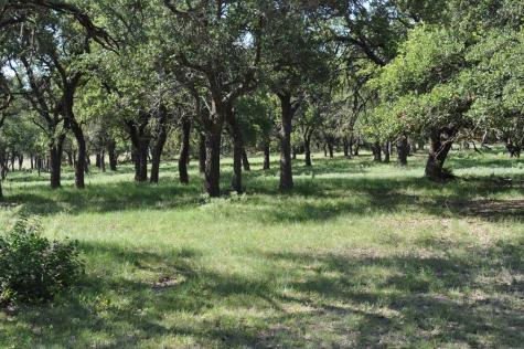 18043 Fm 479 Harper TX 78631