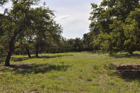 18043 Fm 479 Harper TX 78631