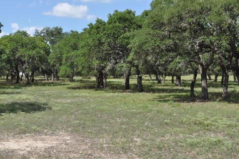 18043 Fm 479 Harper TX 78631