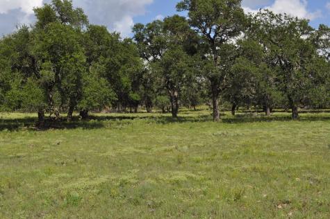18043 Fm 479 Harper TX 78631