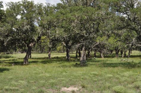 18043 Fm 479 Harper TX 78631