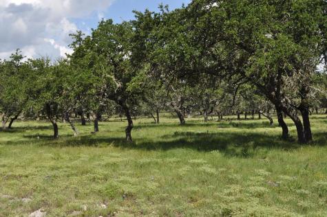18043 Fm 479 Harper TX 78631