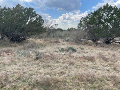 0 Tres Chivos Viejos Road Mason TX 76856