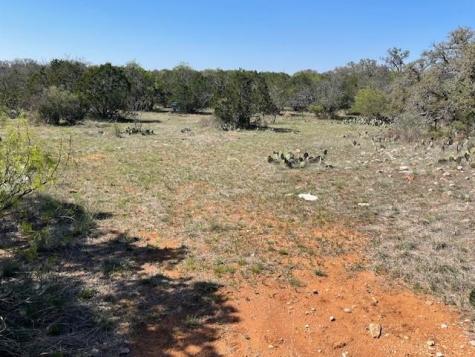 0 Tres Chivos Viejos Road Mason TX 76856