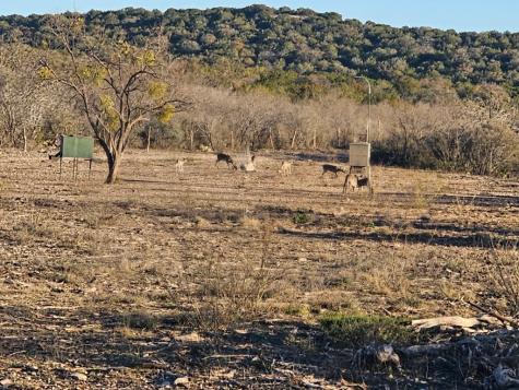 Rocksprings TX 78880
