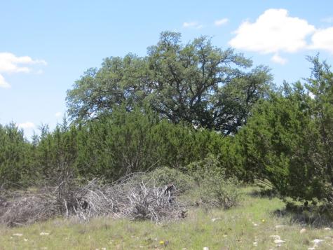 24 W Kc 24 Junction TX 76849