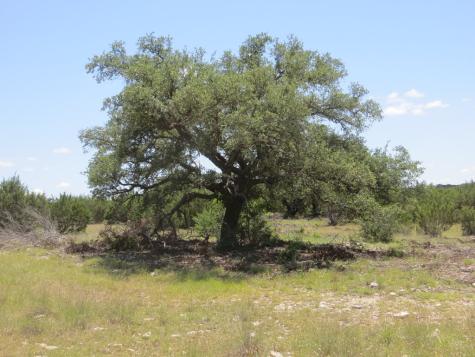 24 W Kc 24 Junction TX 76849