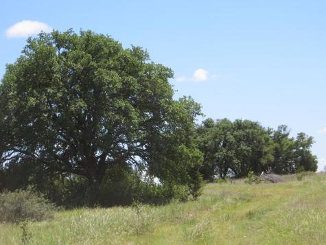 24 W Kc 24 Junction TX 76849