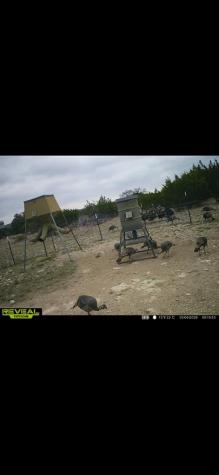 24 W Kc 24 Junction TX 76849