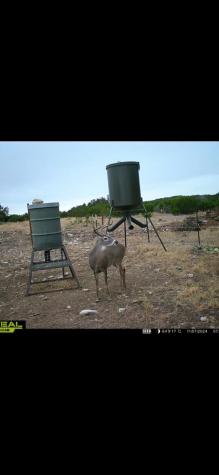24 W Kc 24 Junction TX 76849