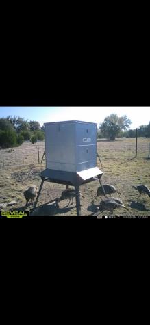 24 W Kc 24 Junction TX 76849